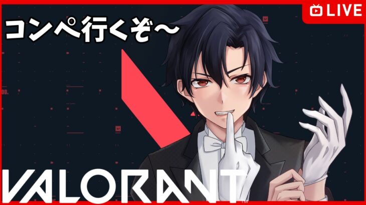 【VALORANT】ヴァロラント【無彩ハク/Vtuber】