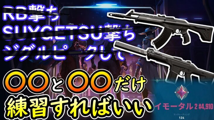 【VALORANT解説】ヴァンダル、ファントムの打ち方、イモータルまでこの２つだけでいいです。【初心者】【中級者】具体的な練習法、正しい撃ち方について解説します。ヴァロラント