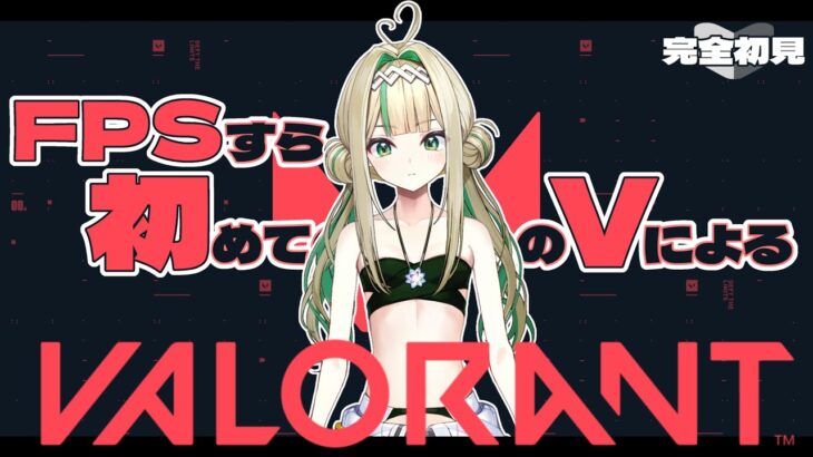 初めての【VALORANT】FPSすら初めてで…【SVS/パル・パチップ】