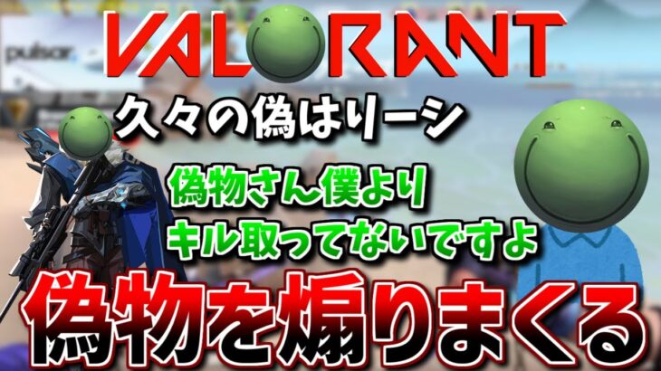 【VALORANT】久々の偽物を煽りまくる はりーシ【切り抜き】2024/5/12