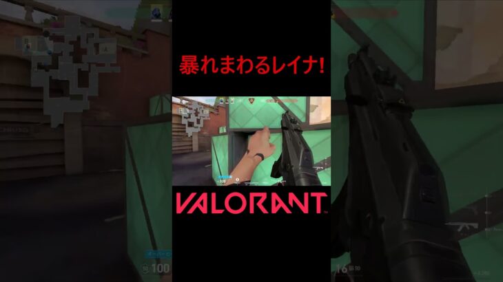 【VALORANT】暴れまわるレイナ! #shorts #valorant #valorantclips #valorantクリップ #valorantキル集 #ヴァロラント