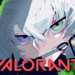 【VALORANT】レディアントチャレンジ#17 久々イモ掘り 【叢雲カゲツ/にじさんじ】