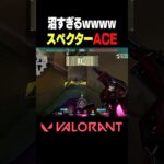 【VALORANT】沼すぎるwwwwスペクターACE #VALORANT