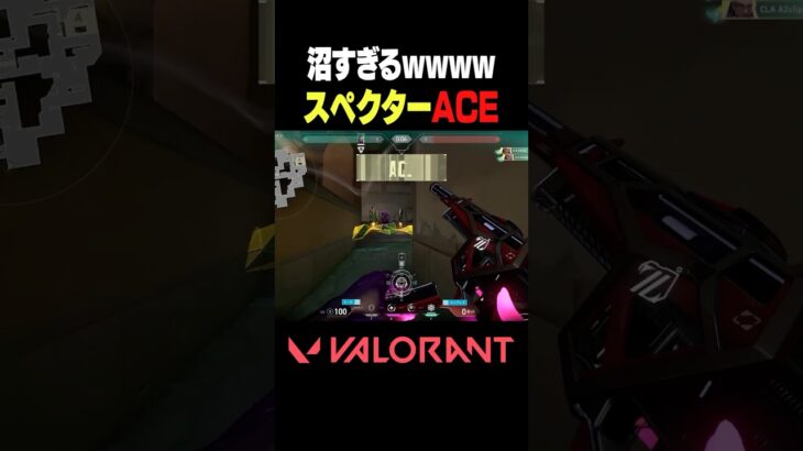 【VALORANT】沼すぎるwwwwスペクターACE #VALORANT