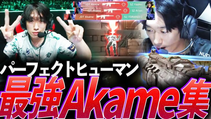 【DFM Akame】あらゆるロール、そしてIGL。すべてを経験したパーフェクトヒューマン、最強Akame集【VCJ 2023-2024:JDT,RC Akame】