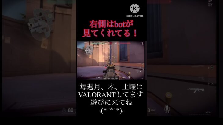 《VALO》ガーディアン命！ #参加型 #valorant #常連さん歓迎 #参加歓迎 #初参加歓迎 #ヴァロラント #常連さん大歓迎