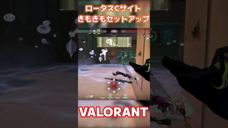 【VALORANT/ヴァロラント】ロータスサイファーきもきもセットアップ