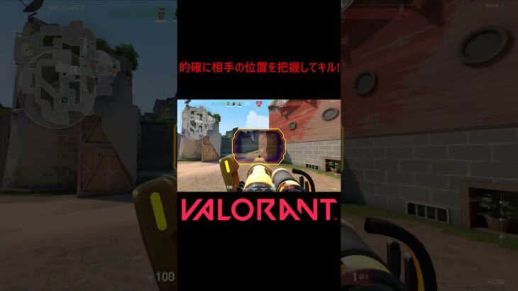 【VALORANT】的確に相手の位置を把握してキル! #shorts #valorant #valorantclips #valorantクリップ #valorantキル集 #ヴァロラント