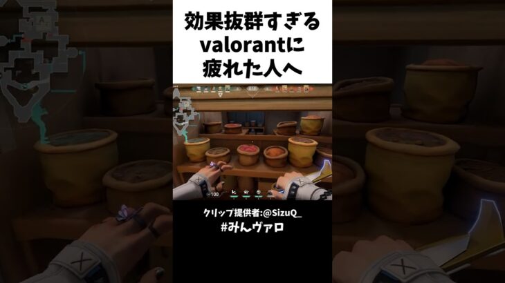 効果抜群すぎるww valorantに疲れた人へ贈る動画 #shorts #valorant #valorantclips