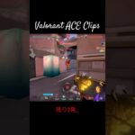 激アツカバーと断末魔ACE #valorant #valorantclips #valorantgaming #ヴァロラント #ace