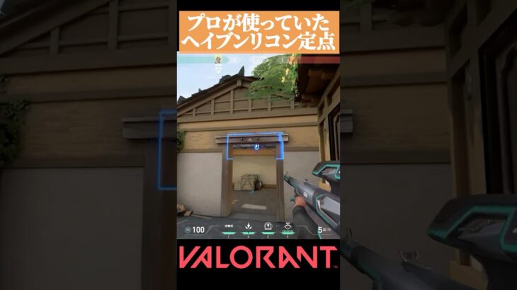 【VALORANT】プロが使う ヘイブンで役立つA守りリコン #valorant#ヴァロラント #vct