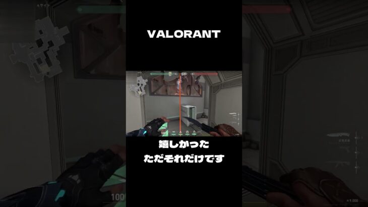 【VALORANT】これ以降乗れることはありませんでした #valorant