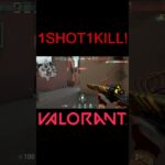 【VALORANT】1SHOT1KILL! #shorts #valorant #valorantclips #valorantクリップ #valorantキル集 #ヴァロラント