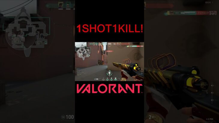 【VALORANT】1SHOT1KILL! #shorts #valorant #valorantclips #valorantクリップ #valorantキル集 #ヴァロラント