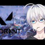 【VALORANT】今日もしっかりランクが上がるといいな【2人組 #新人vtuber  】