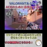 【VALORANT】ソロランクあるある、ACE直前だと自我出しちゃう #ヴァロラント #valorant  #valo   #valorant立ち回り  #vct #valorant初心者立ち回り