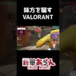 【VALORANT】味方まで騙してしまうVtuber #shorts #subscribe #vtuber #valorant #ゲーム実況