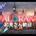 【 #VALORANT】d2から‼光のVALOにしよう！【#VTuber】