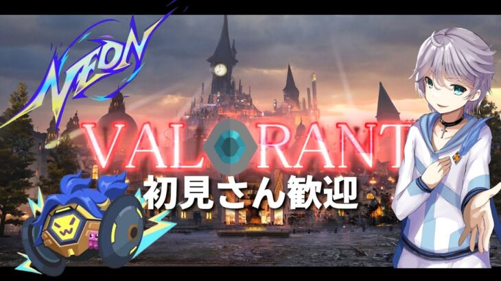 【 #VALORANT】d2から‼光のVALOにしよう！【#VTuber】