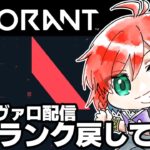 【Valorant】他力本願編。俺を元のランクに返してくれお願いします【個人VTuber/コラボ】