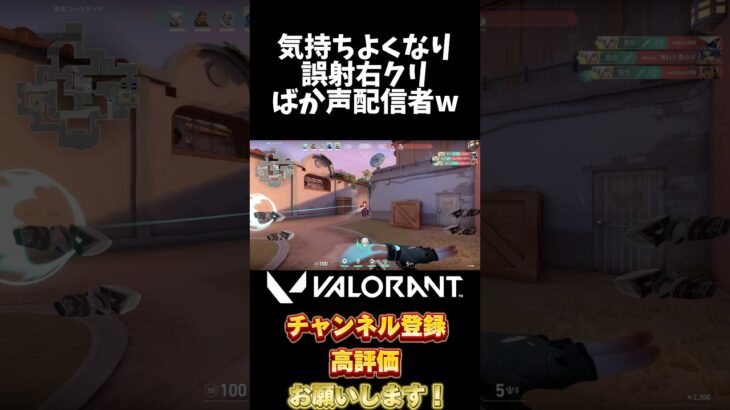 エコ狩りすらも失敗するばか声配信者w #shorts #valorant #ゔぁろらんと