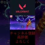 どうしようもない #valorant #ヴァロラント #シルバー帯 #gaming #gameplay #games #twitch #clips #game #shorts #初心者 #funny