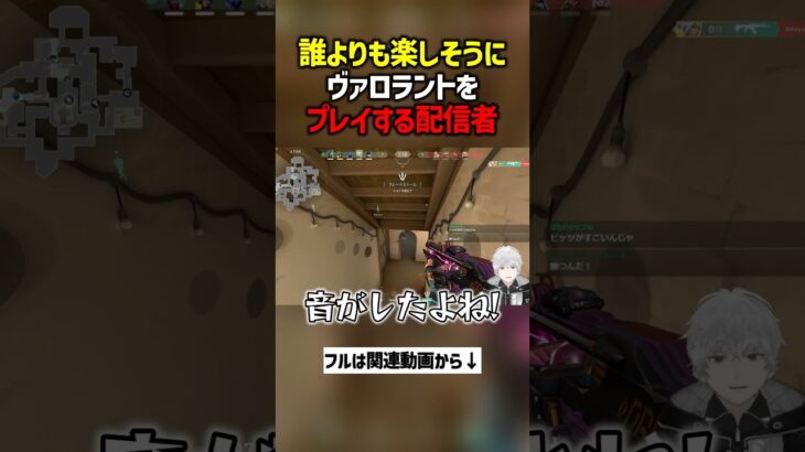 誰よりも楽しそうにヴァロラントをプレイする配信者　#valorant  #ヴァロラント #valorantclips #ぽてぃー