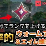 【1日20分】ランク用のウォームアップ兼エイム練習方法解説【VALORANTヴァロラント/Kovaaks】