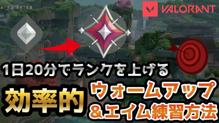 【1日20分】ランク用のウォームアップ兼エイム練習方法解説【VALORANTヴァロラント/Kovaaks】