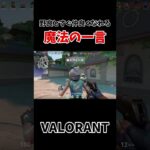 野良と仲良くなれる魔法の一言　VALORANT　(再投稿)