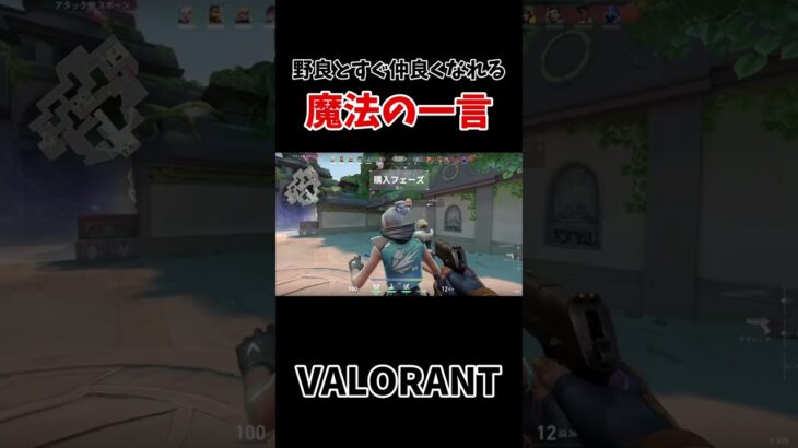 野良と仲良くなれる魔法の一言　VALORANT　(再投稿)