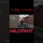 【VALORANT】ラークを通し、ついでにACE! #shorts #valorant #valorantclips #valorantクリップ #valorantキル集 #ヴァロラント