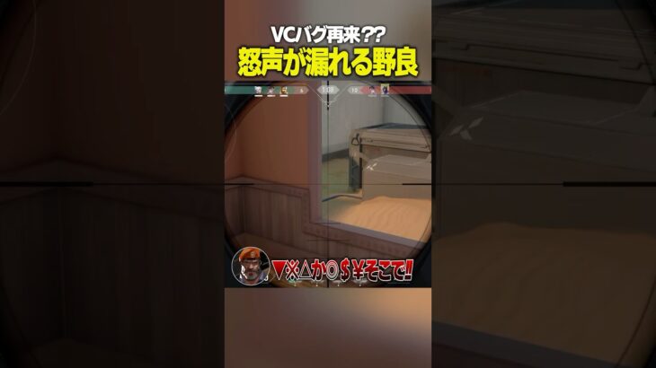 最新のVCバグ到来…? #valorant  #shorts