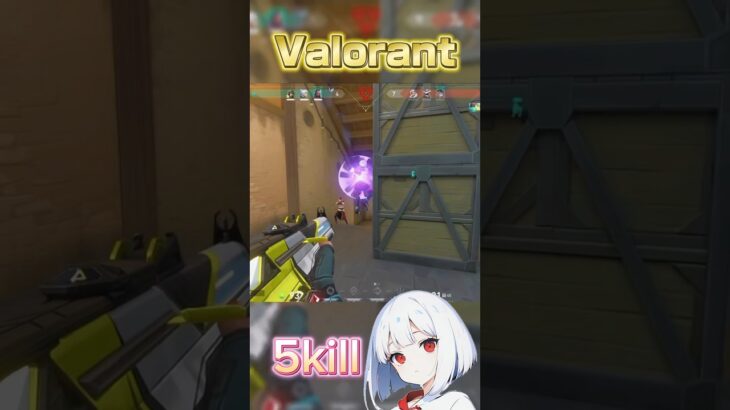 【Valorant】5kill #valorant #ヴァロ #ヴァロラント #gaming #ゲーム#ショート#shorts #おすすめ