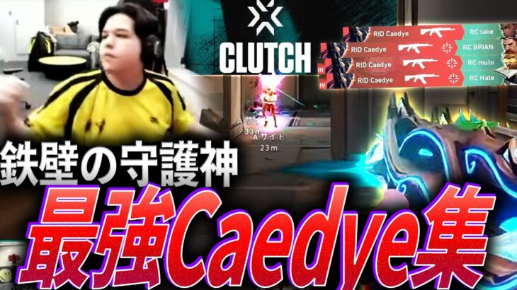 【破壊】ほぼ毎回MVP。Riddle鉄壁の守護神、最強Caedye集【VCJ 2024 – 2025 Split1:RID Caedye】