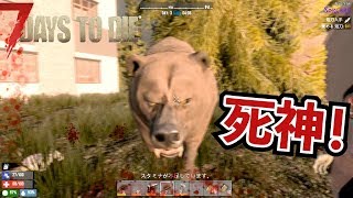 熊と遭遇！絶対に生き残れ！！#19【7Days to Die】