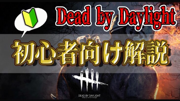 【DbD】これから始めるデッド バイ デイライト 初心者講座【Dead by Daylight】