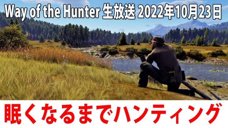 【ヒント禁止】眠くなるまでひたすらハンティングするライブ配信【Way of the Hunter アフロマスク 2022年10月23日】
