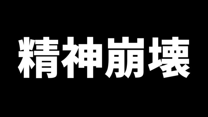 【DBD】【閲覧注意】DBDに命かけてる中国軍隊PTとマッチングしました・・・【デッドバイデイライト】【ブライト】