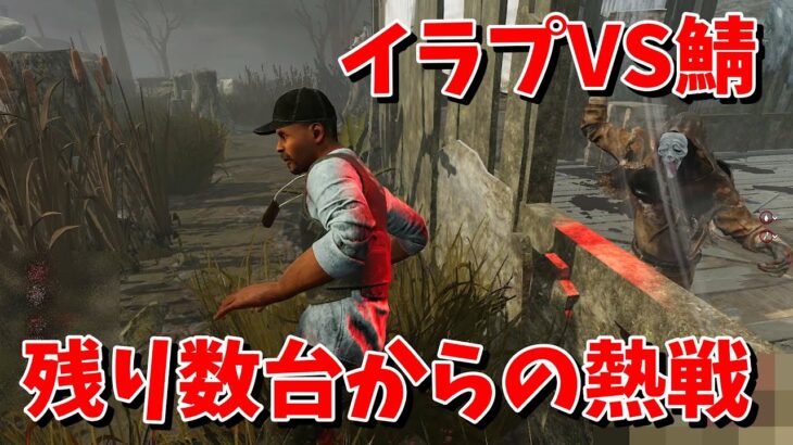 【DBD】今の環境VS野良サバイバー【デッドバイデイライト】