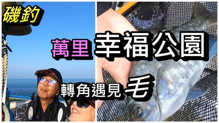 磯釣~ 冬日豔陽下，在幸福公園下釣白毛! #couplefishing #釣魚#磯釣#夫妻釣魚#萬里#幸福公園#白毛#天竺舵魚