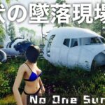【No One Survived 実況#2】飛行機の墜落現場に最高の武器が眠ってる？！