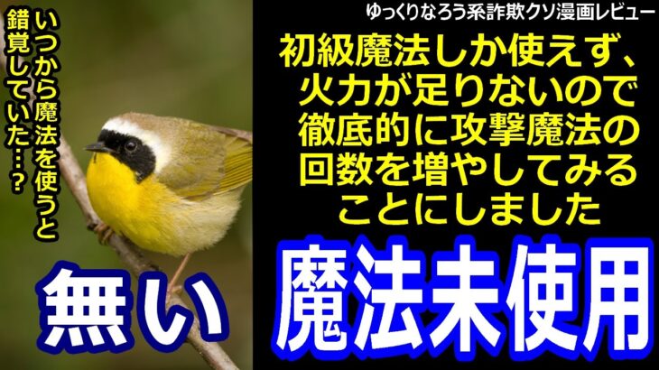 なろう系詐欺クソ漫画レビュー「初級魔法しか使えず、火力が足りないので徹底的に攻撃魔法の回数を増やしてみることにしました」