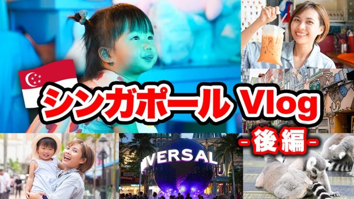 【2歳子連れ旅行Vlog】シンガポール（後編）セントーサ島、シンガポール動物園を満喫。最終日はナイトクルーズで締めました｜日本人・ベトナム人の国際結婚カップル