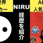 ニル/NIRUの経歴【BF世界ランカー・モンタージュ製作者・APEX人気動画投稿者】