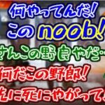 叶に暴言を吐く害悪野良にガチギレするわいわいさんを逆になだめる叶【にじさんじ/APEX】