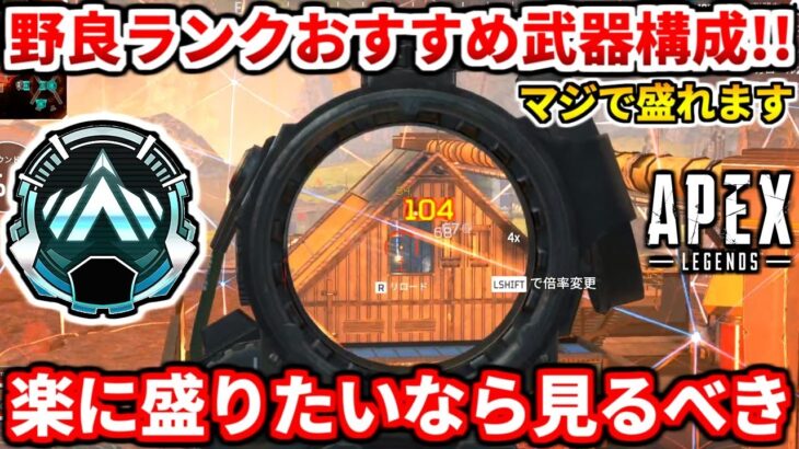 野良ランク勢必見！撃ち合いが苦手ならこの構成で盛るべき！プラチナダイヤ行きたいなら絶対に見ろ！【APEX LEGENDS立ち回り解説】