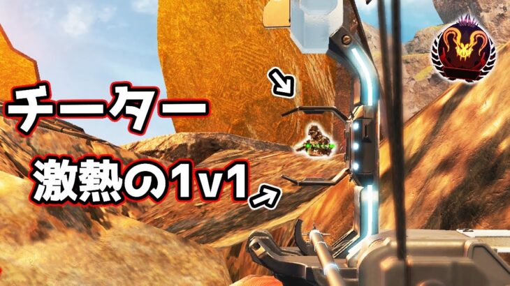 NIRU vs チーター【APEX LEGENDS】