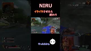 NIRU達を怒らせるとこうなります#shorts