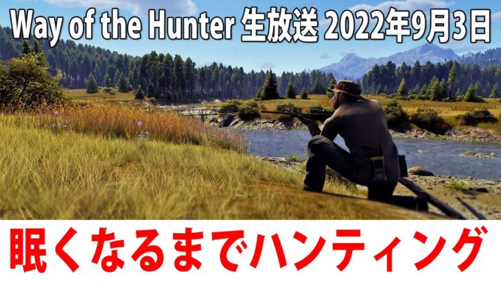 【ヒント禁止】眠くなるまでひたすらハンティングするライブ配信【Way of the Hunter アフロマスク 2022年9月3日】